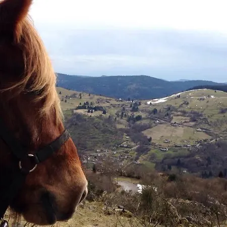 Equi'val Le Tholy