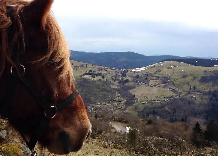 艾奎瓦尔农家乐 勒索里